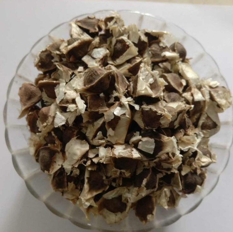 Uzhavan Unavu - Dry Moringa Seeds /Murunkai Seeds / Drumstick Seed / Sahajan Beej - 50 Gm